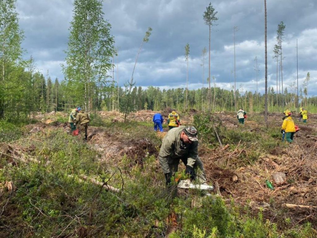 Фото из телеграм-канала Александра Цыбульского